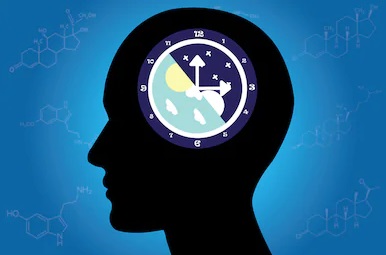 تأثير الساعة البيولوجية للجسم في مواجهة فيروس كورونا 2020.jpg