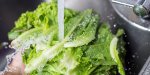 washing-your-romaine-lettuce-wont-eliminate-e-coli--heres-how-to-minimize-your-risk-during-the...jpg
